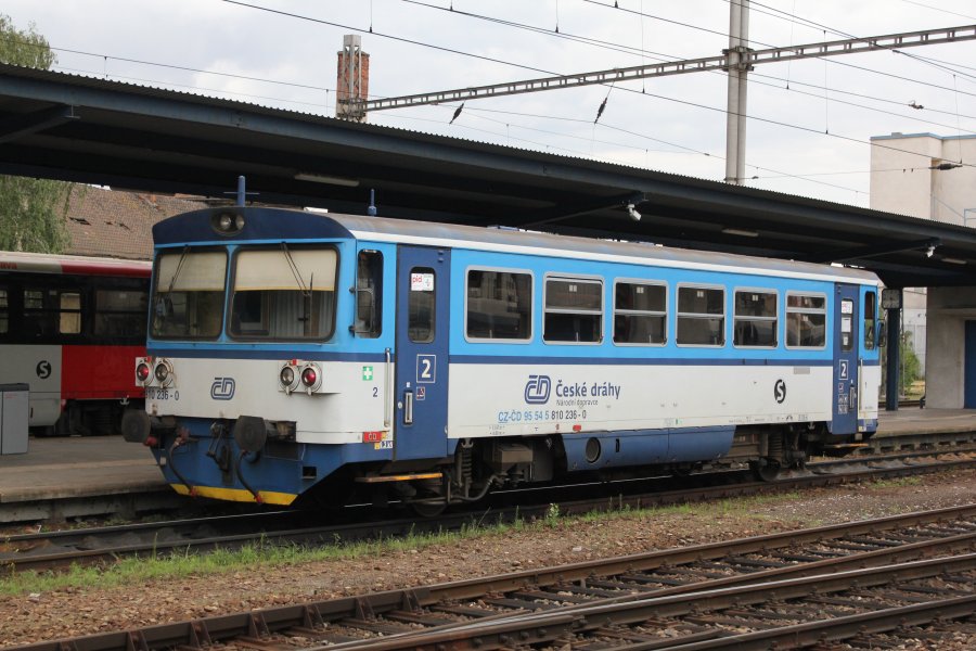 810 236-0