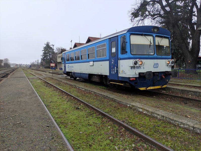 810 663-5