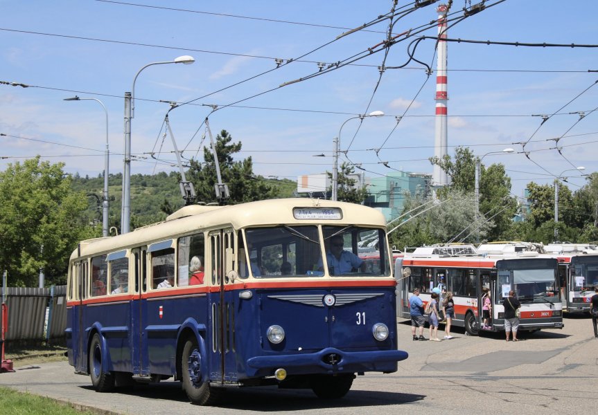 31
