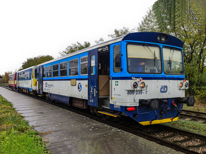 809 239-7
