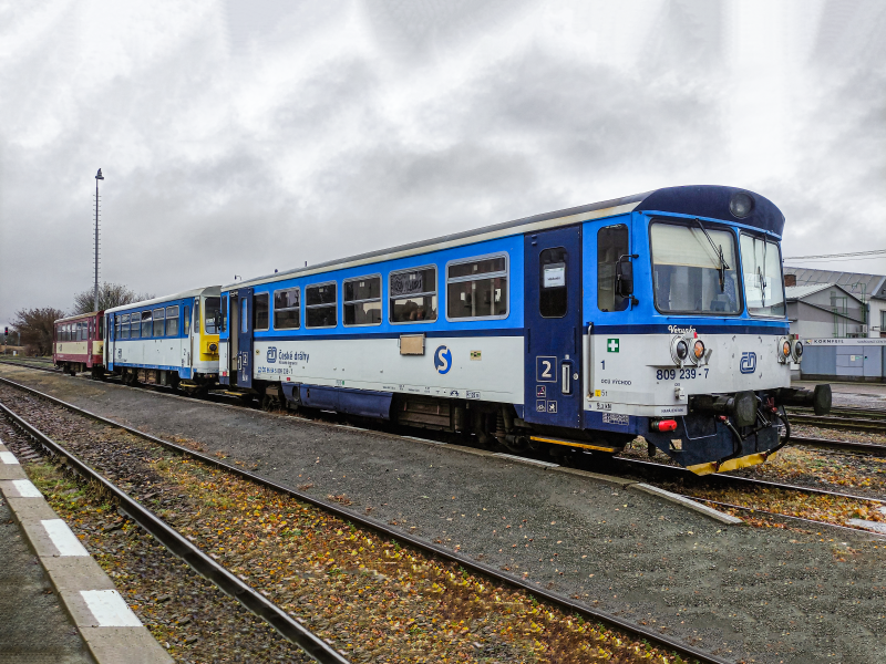 809 239-7
