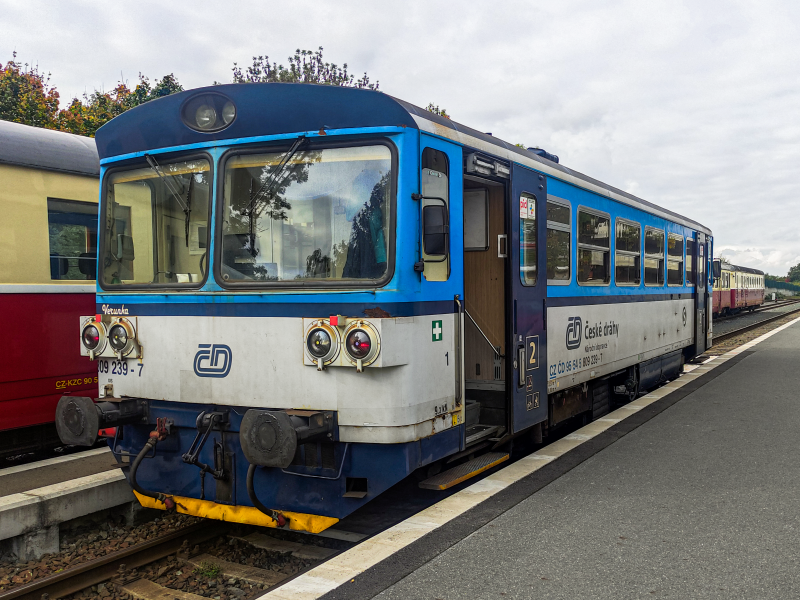 809 239-7