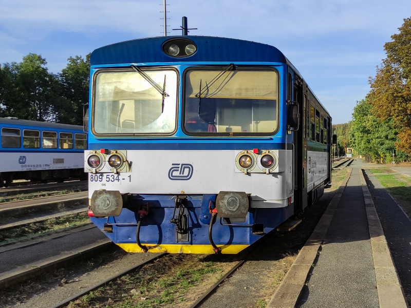 809 534-1