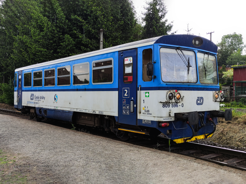 809 596-0