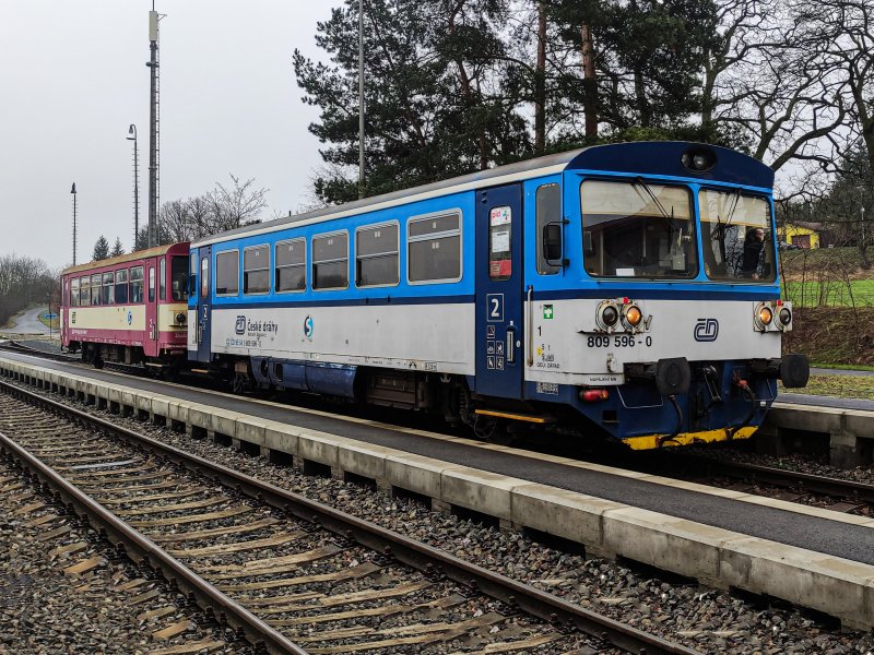 809 596-0