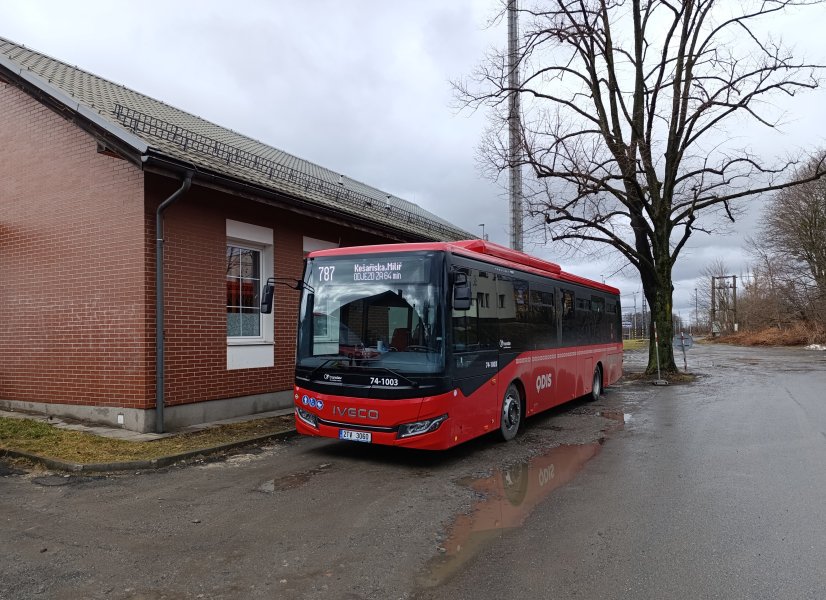 74-1003