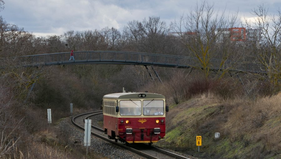 810 517-3