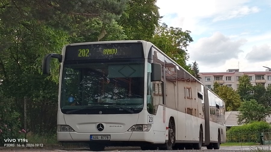 231