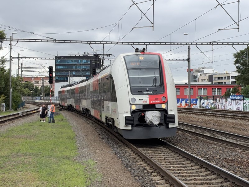 955 005-4