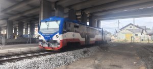 913 202-8