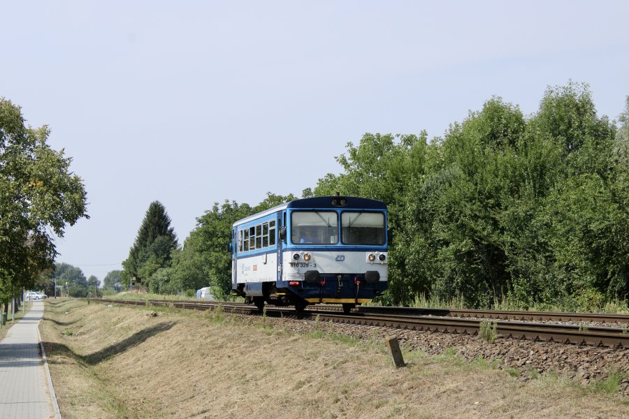 810 329-3