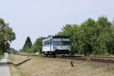 810 329-3