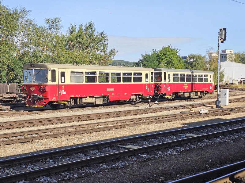 810 381-4