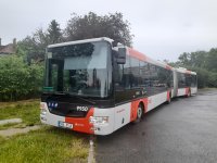 9950