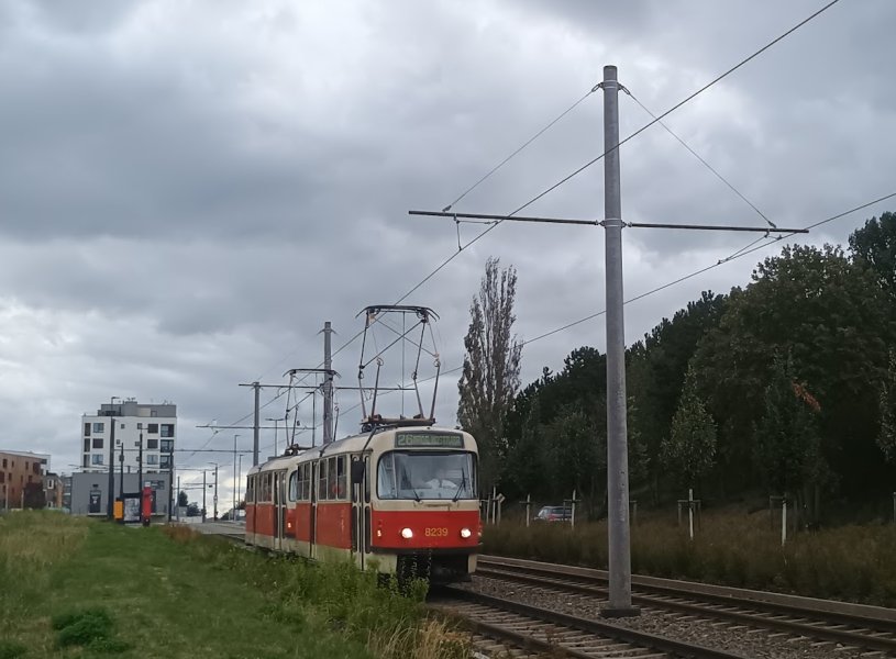 8239+8236
