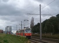 8239+8236