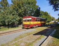 810 486-1