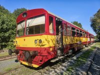 810 486-1