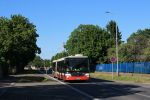 miniatura zdjęcia 447738