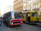 miniatura zdjęcia 447810