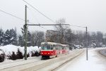 kép előnézete 448062