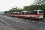 kép előnézete 448064