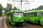 kép előnézete 448066