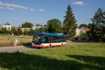 miniatura zdjęcia 448070