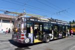 miniatura zdjęcia 448927