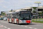 miniatura zdjęcia 449385