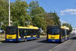 miniatura zdjęcia 449496