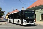 miniatura zdjęcia 449526