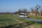 miniatura zdjęcia 451294