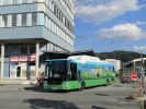miniatura zdjęcia 451399