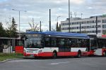 miniatura zdjęcia 451526